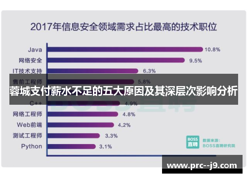 蓉城支付薪水不足的五大原因及其深层次影响分析