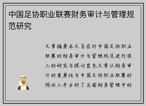 中国足协职业联赛财务审计与管理规范研究 中国足协职业联赛财务审计与管理规范研究